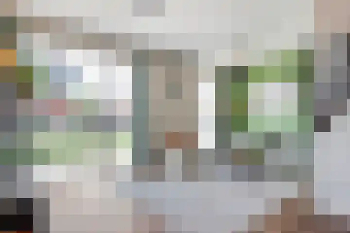 Tijm 33 Hardenberg thumbnail 6