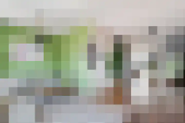 Tijm 33 Hardenberg thumbnail 7