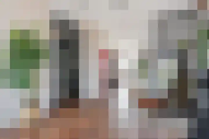 Tijm 33 Hardenberg thumbnail 9