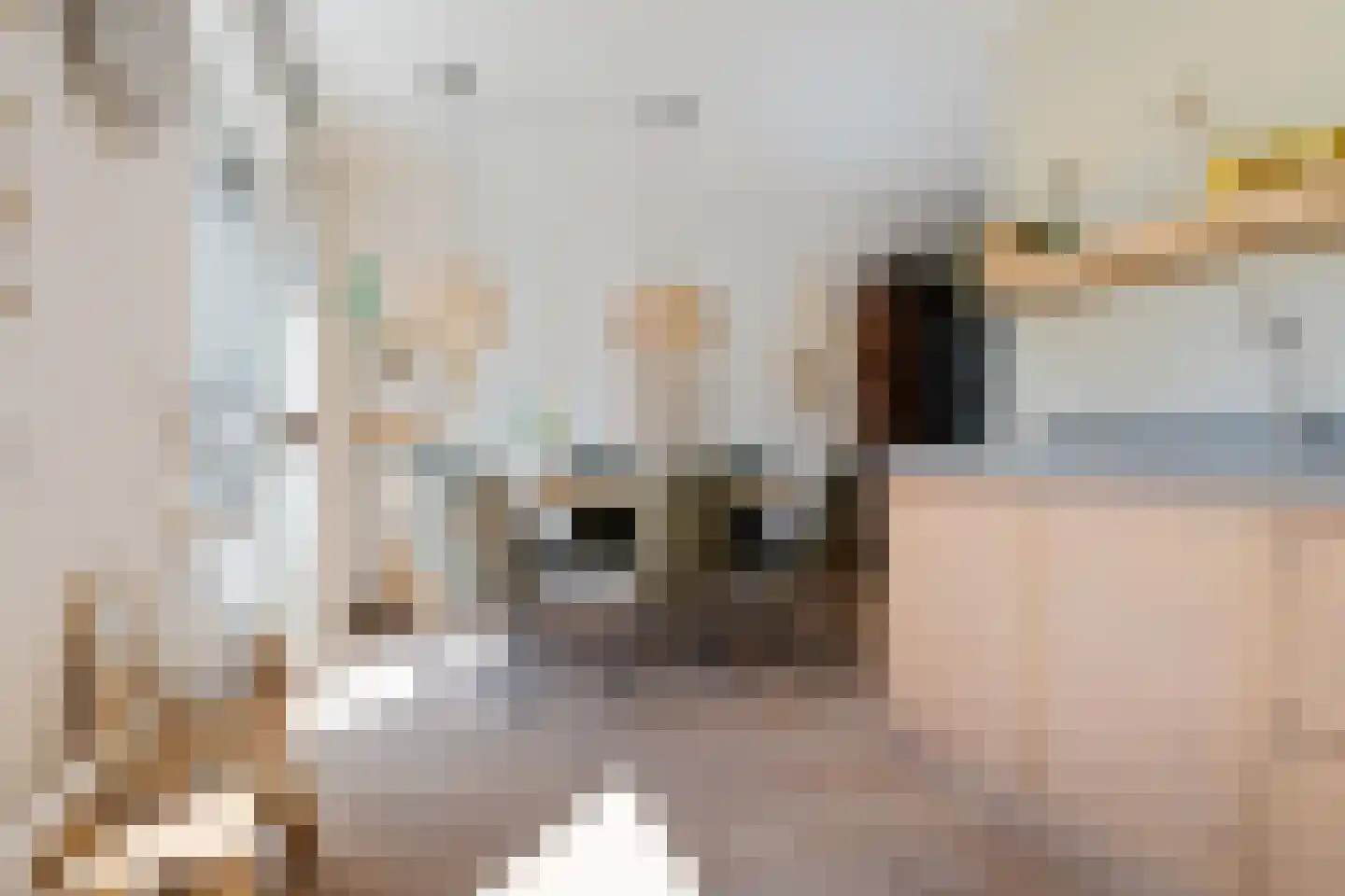 Tijm 4 Haaksbergen thumbnail 14