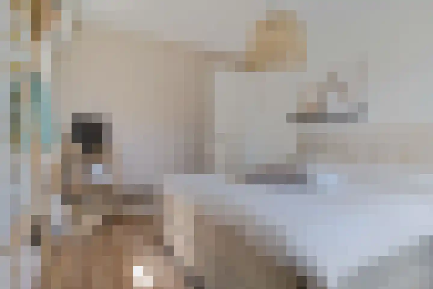 Tijm 4 Haaksbergen thumbnail 20