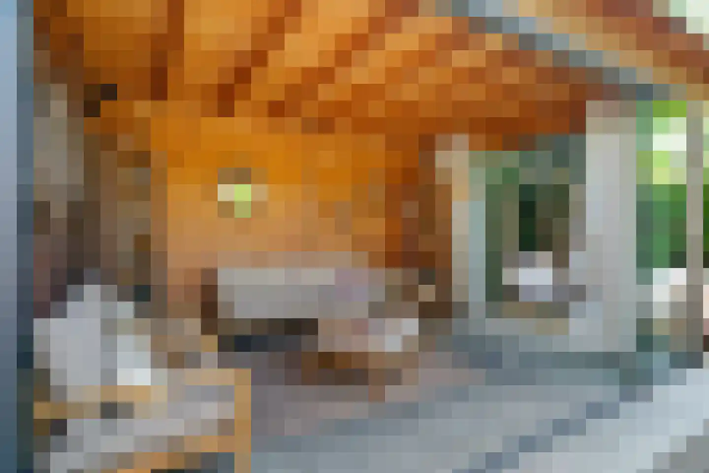 Tijm 4 Haaksbergen thumbnail 36