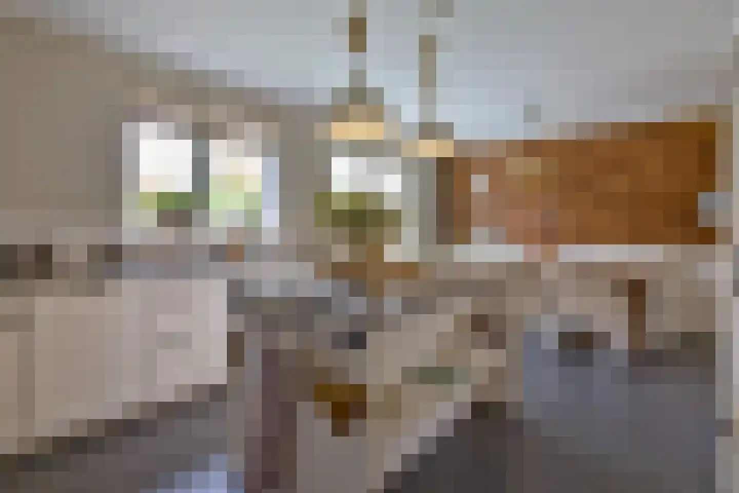 Tijm 4 Westerhaar-Vriezenveensewijk thumbnail 18