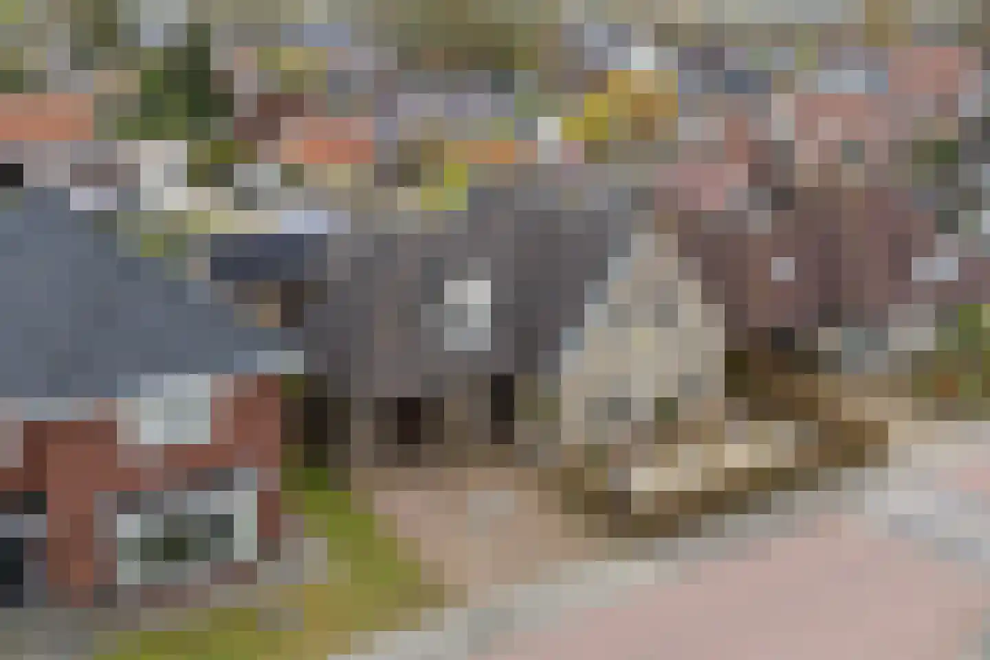 Tijm 4 Westerhaar-Vriezenveensewijk foto 3
