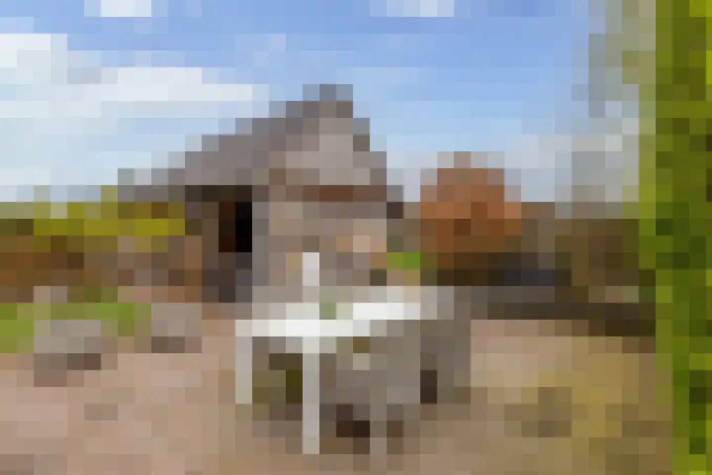 Tijm 4 Westerhaar-Vriezenveensewijk thumbnail 33