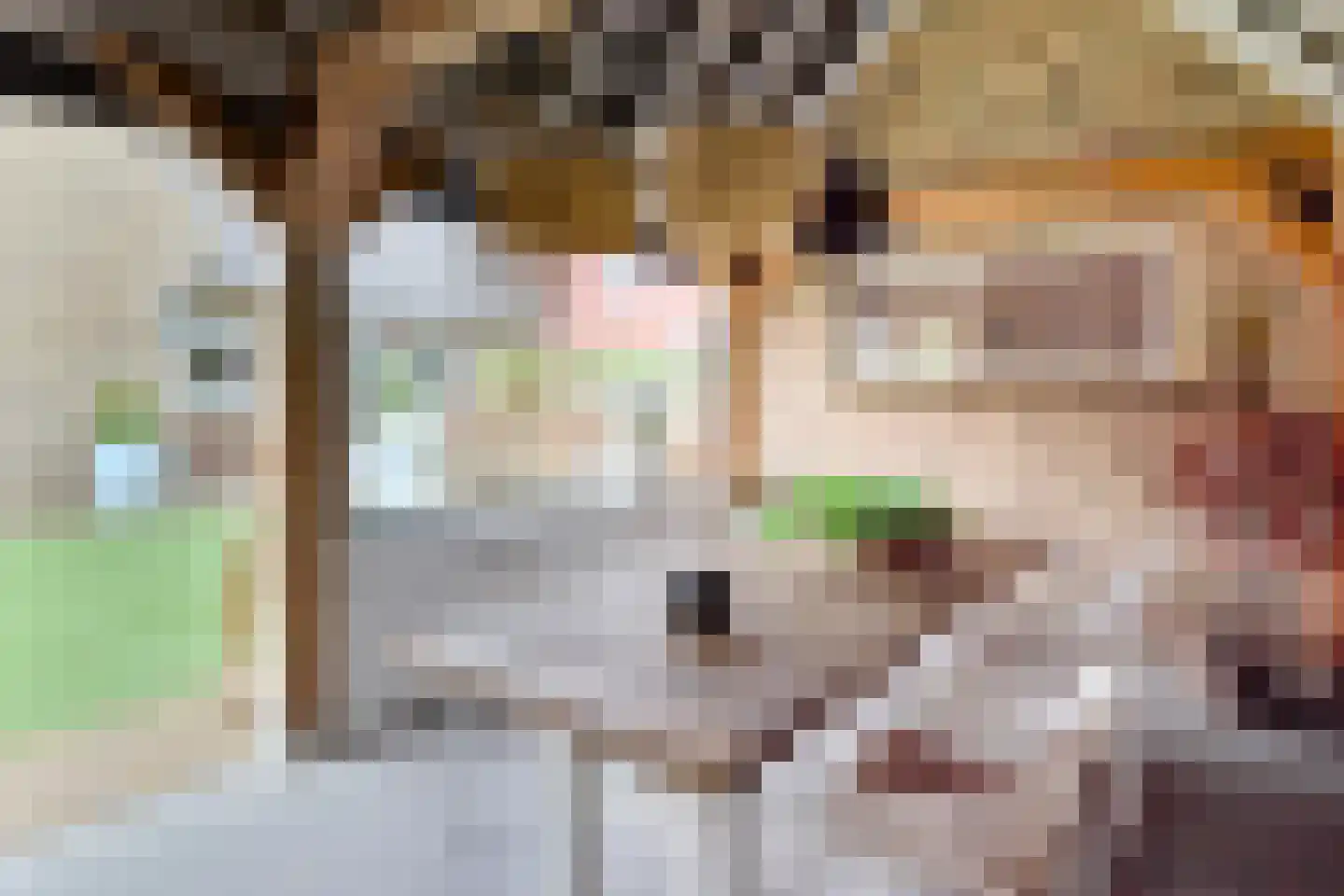 Tijm 4 Westerhaar-Vriezenveensewijk thumbnail 36