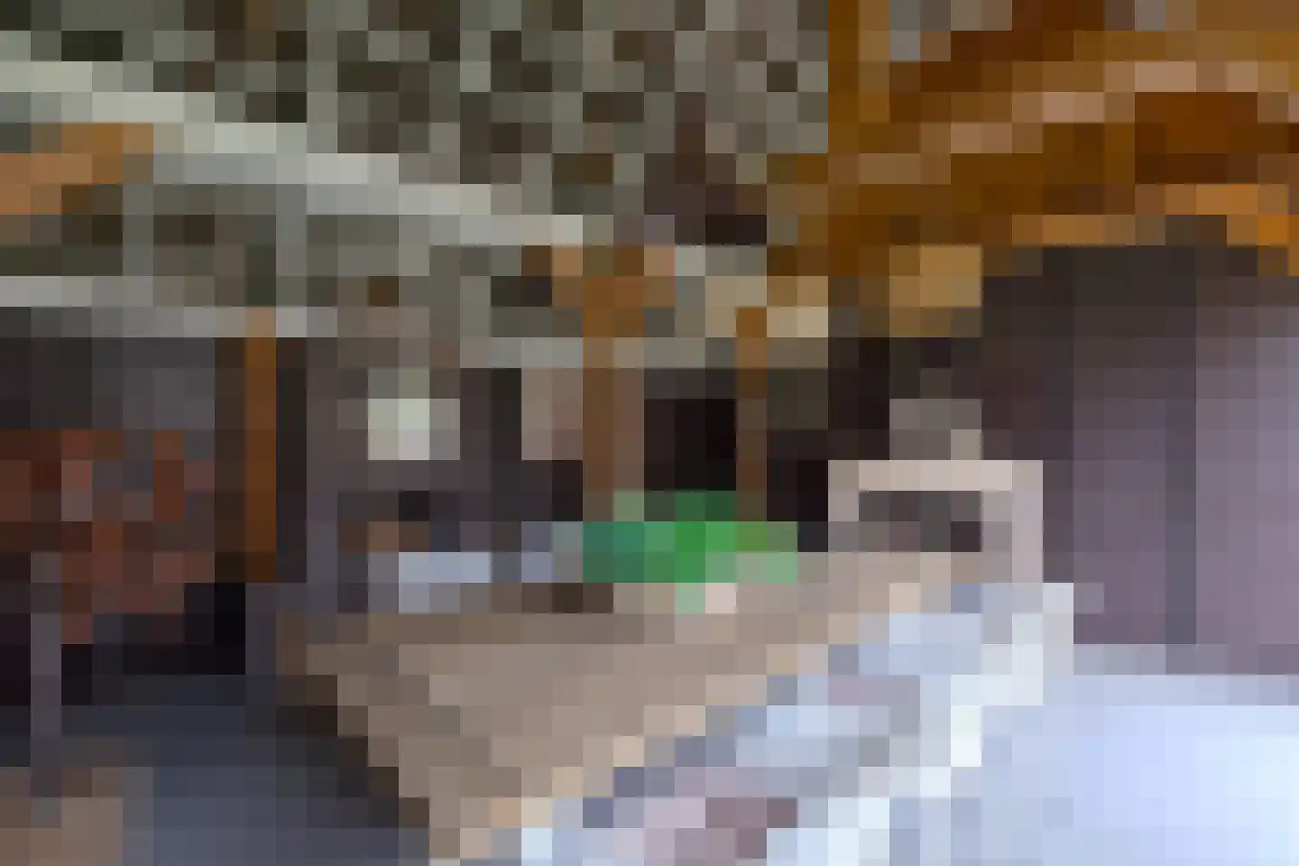 Tijm 4 Westerhaar-Vriezenveensewijk thumbnail 38