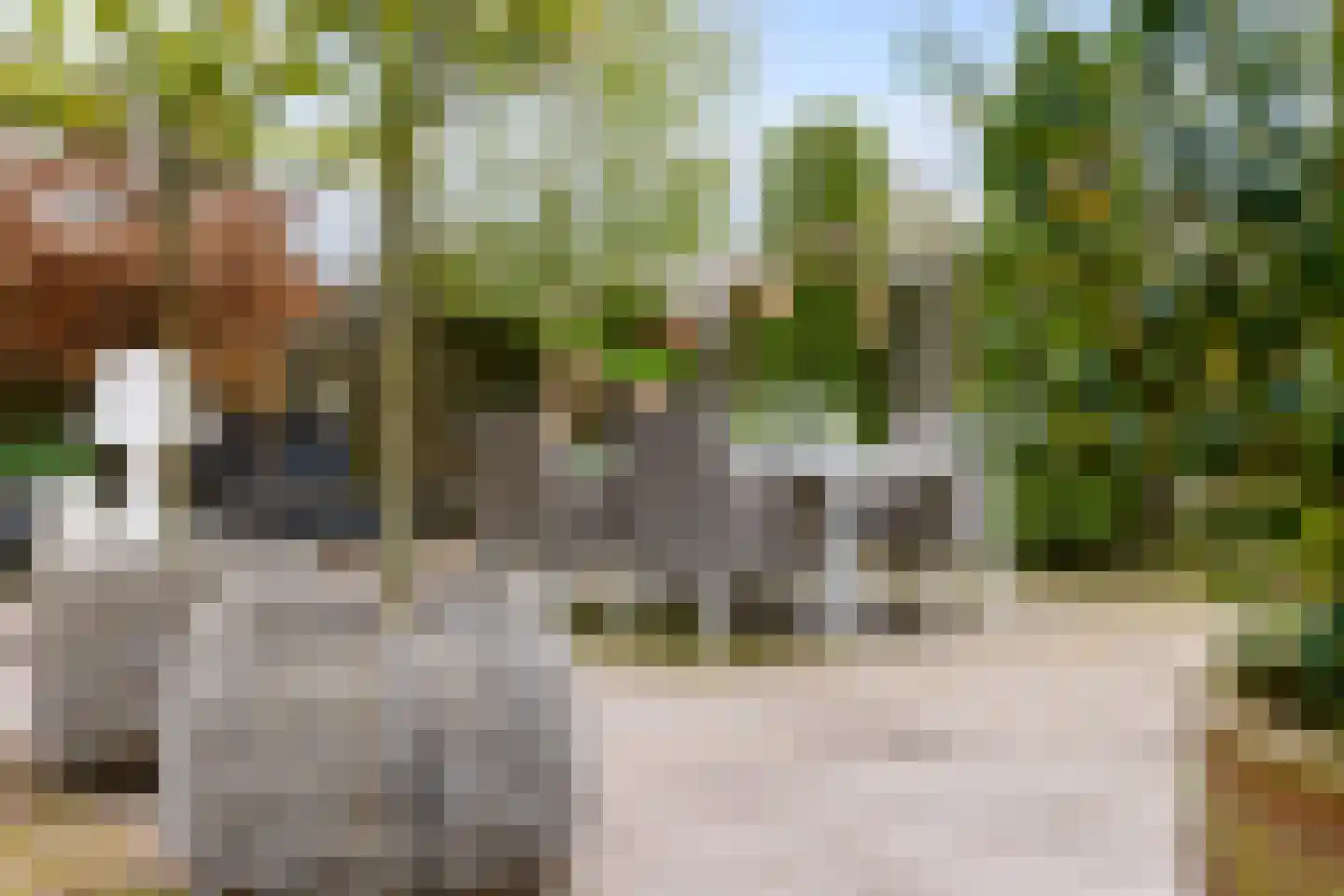 Tijm 4 Westerhaar-Vriezenveensewijk thumbnail 39