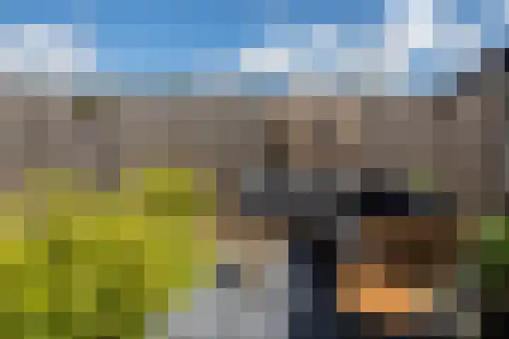 Tijm 44 Westerhaar-Vriezenveensewijk thumbnail 36