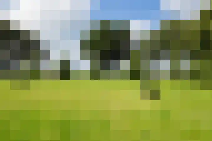 Tijm 44 Westerhaar-Vriezenveensewijk thumbnail 7
