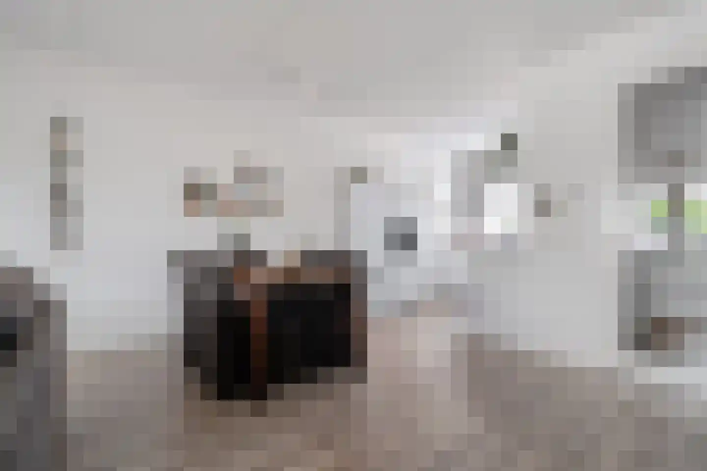 Tijm 7 Hardenberg thumbnail 10