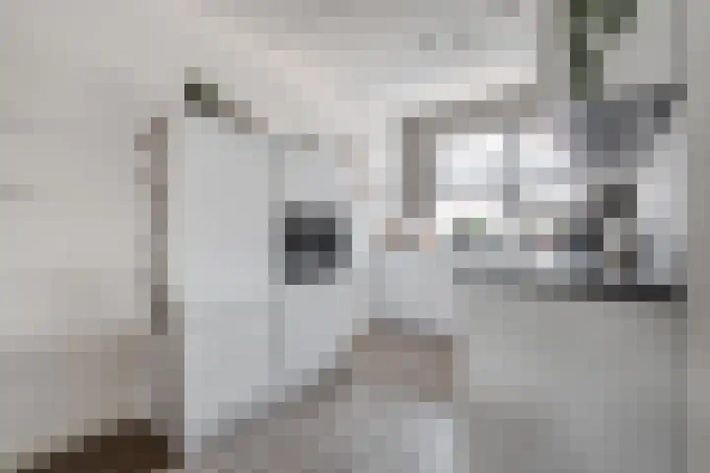 Tijm 7 Hardenberg thumbnail 11
