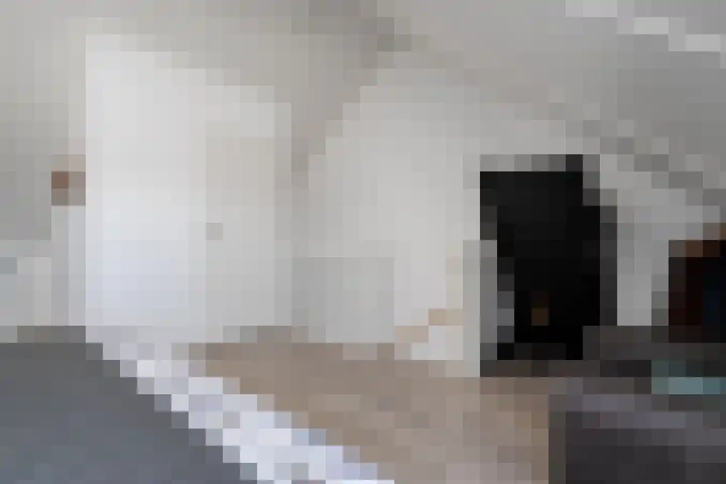 Tijm 7 Hardenberg thumbnail 27
