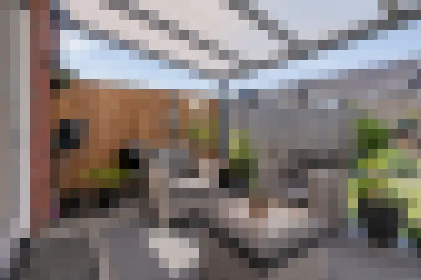 Tijm 7 Hardenberg thumbnail 38