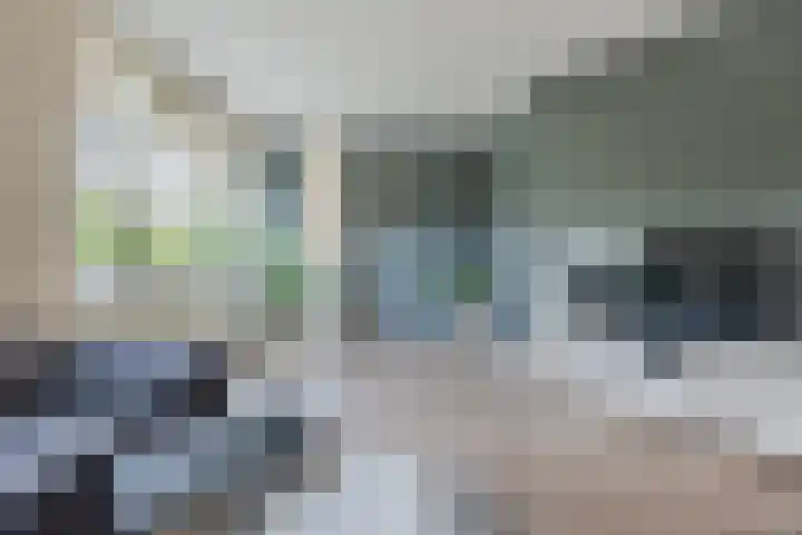 Tijm 7 Oud Gastel thumbnail 11