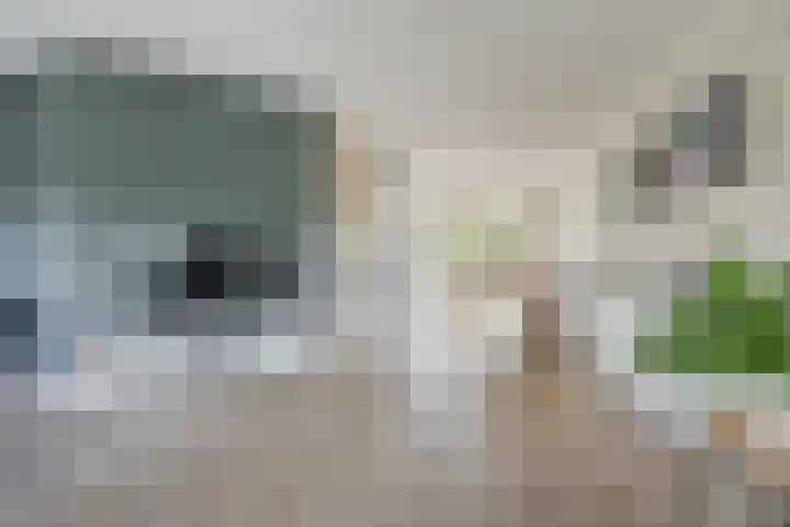 Tijm 7 Oud Gastel thumbnail 12