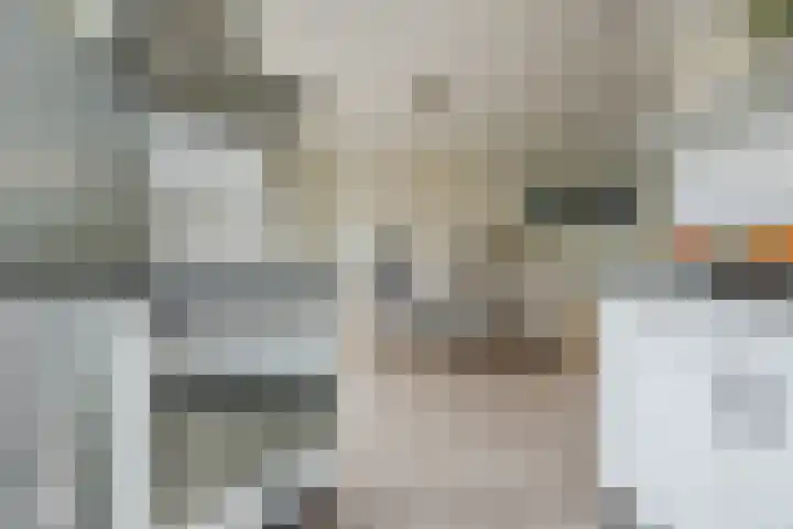 Tijm 7 Oud Gastel thumbnail 19