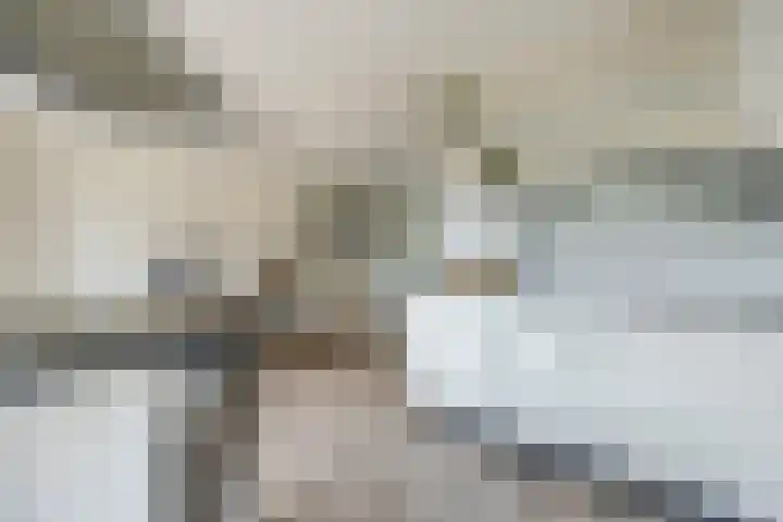 Tijm 7 Oud Gastel thumbnail 20