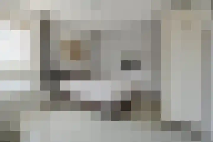 Tijm 7 Oud Gastel thumbnail 23