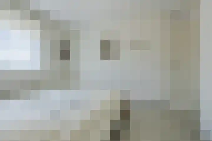 Tijm 7 Oud Gastel thumbnail 26