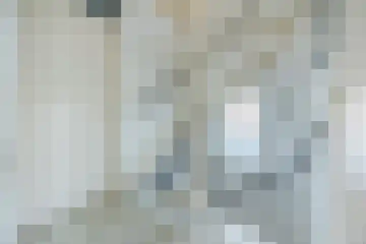 Tijm 7 Oud Gastel thumbnail 31