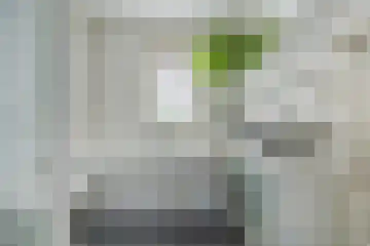 Tijm 7 Oud Gastel thumbnail 32