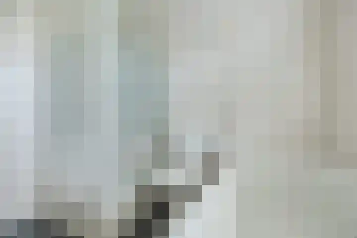 Tijm 7 Oud Gastel thumbnail 33