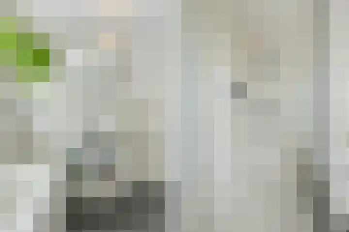 Tijm 7 Oud Gastel thumbnail 35