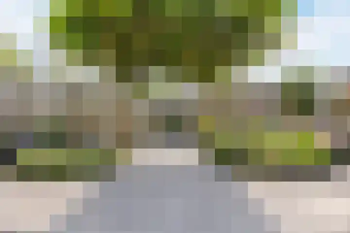 Tijm 7 Oud Gastel thumbnail 49