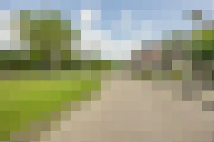 Tijm 7 Oud Gastel thumbnail 54