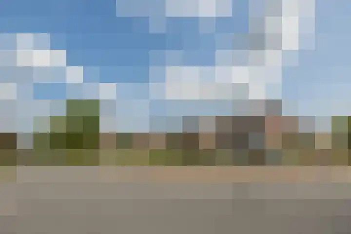 Tijm 7 Oud Gastel thumbnail 7