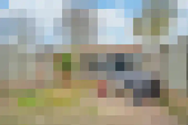 Tijm 7 Sint-Oedenrode thumbnail 25