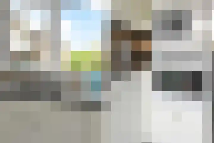 Tijmensblok 13 Wateringen thumbnail 13