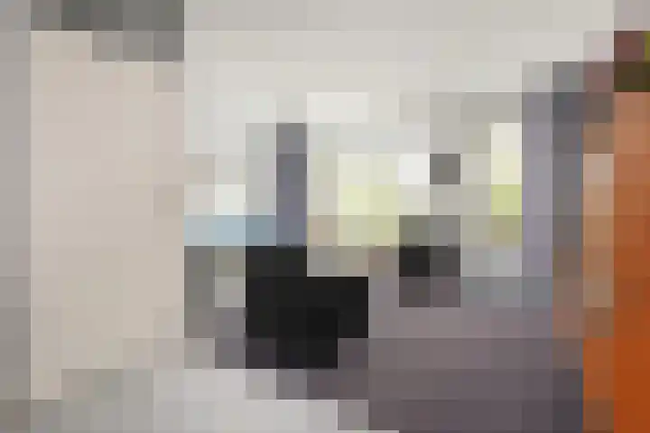 Tijmensblok 13 Wateringen thumbnail 14