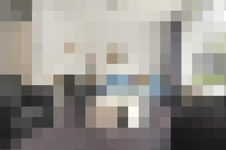 Tijmensblok 13 Wateringen thumbnail 16