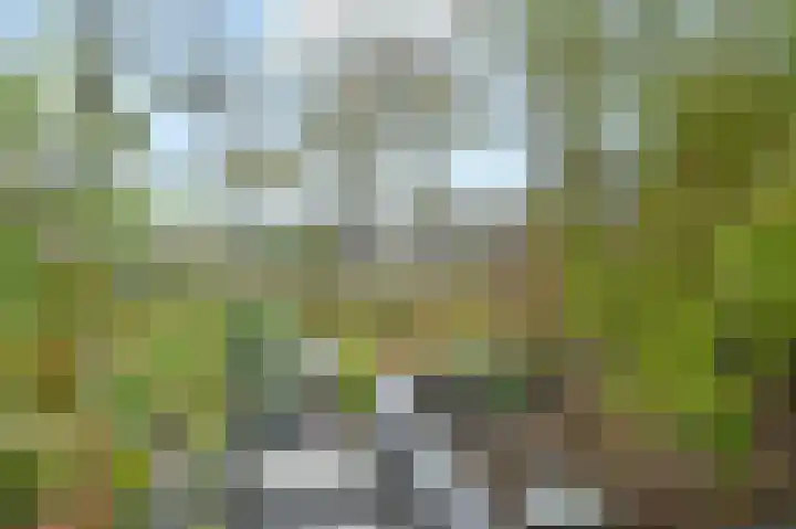 Tijmensblok 13 Wateringen thumbnail 18