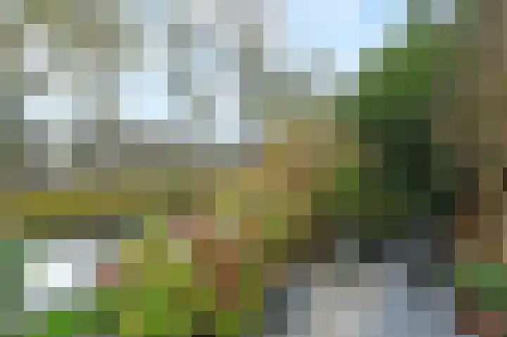 Tijmensblok 13 Wateringen thumbnail 19