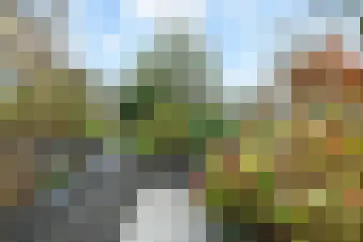 Tijmensblok 13 Wateringen thumbnail 20