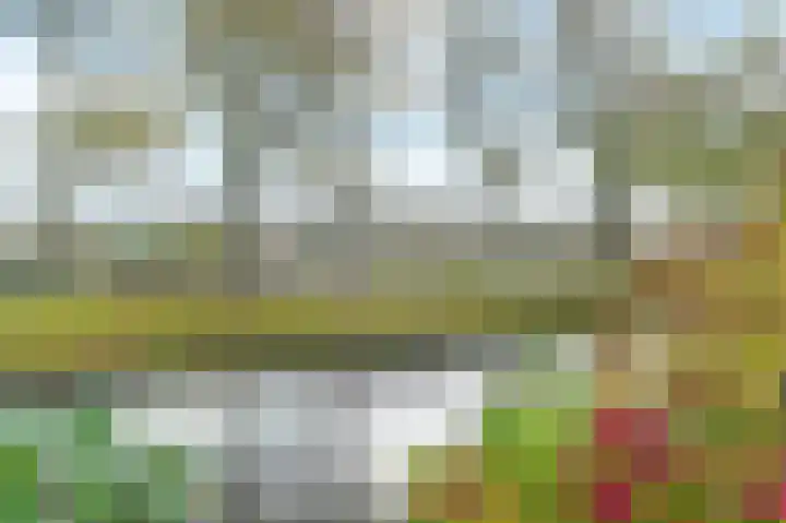 Tijmensblok 13 Wateringen thumbnail 21