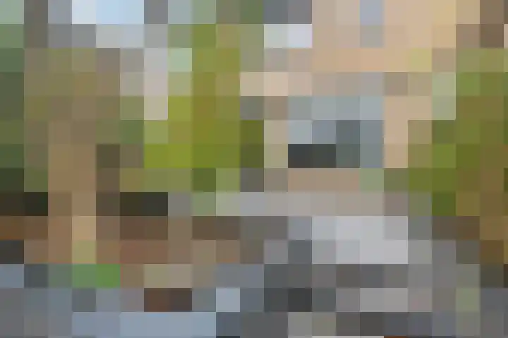 Tijmensblok 13 Wateringen thumbnail 22