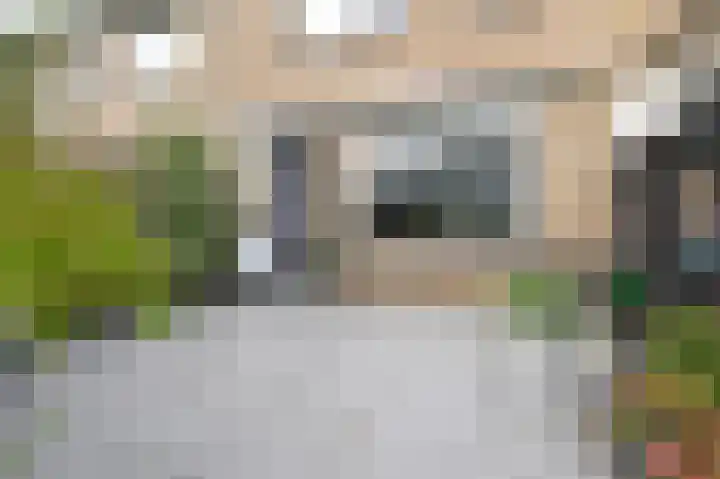 Tijmensblok 13 Wateringen thumbnail 23