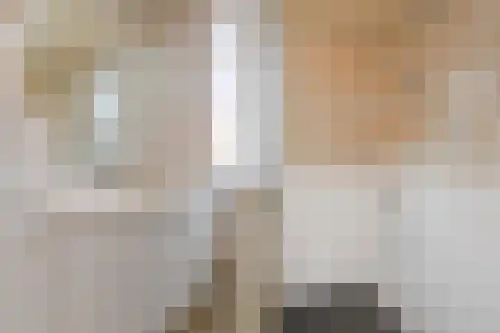 Tijmensblok 13 Wateringen thumbnail 34