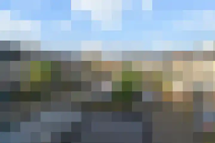Tijmensblok 13 Wateringen thumbnail 38