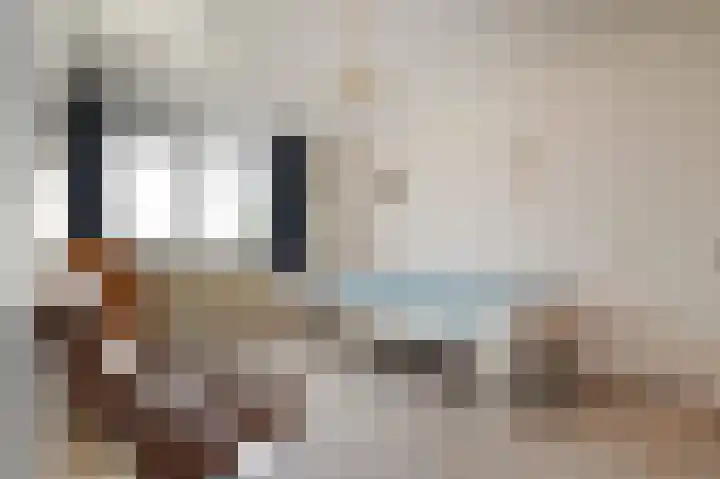 Tijmensblok 13 Wateringen thumbnail 39