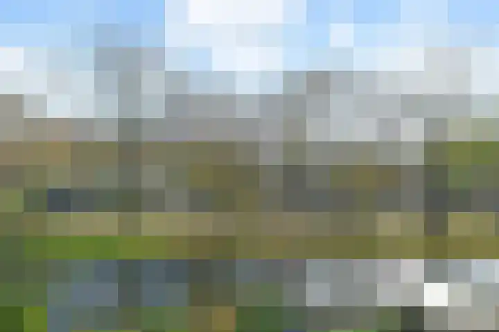 Tijmensblok 13 Wateringen thumbnail 41