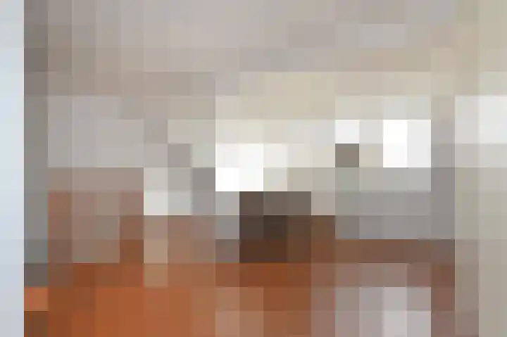Tijmensblok 13 Wateringen thumbnail 48