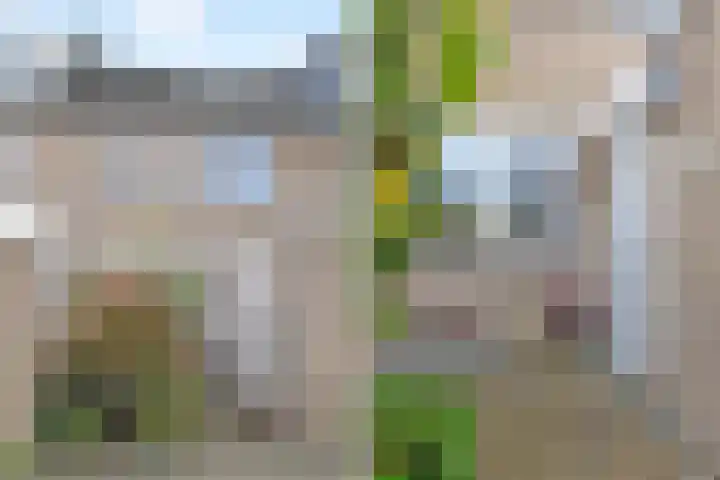 Tijmensblok 13 Wateringen thumbnail 5