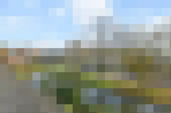 Tijmensblok 13 Wateringen thumbnail 51