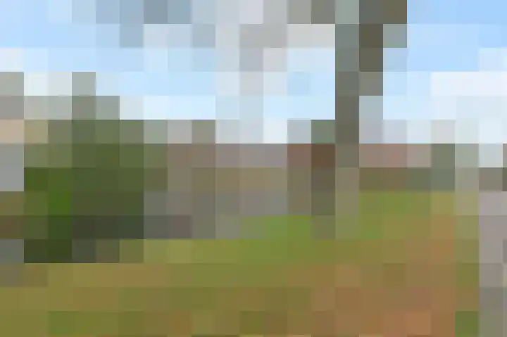 Tijmensblok 13 Wateringen thumbnail 52
