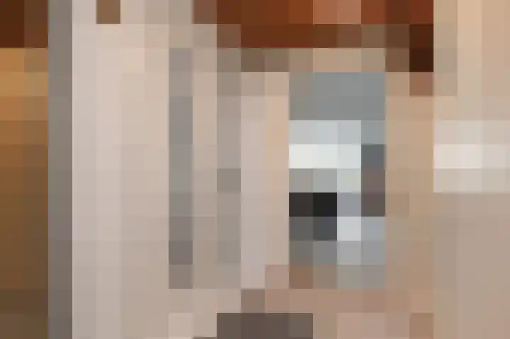 Tijmensblok 13 Wateringen thumbnail 7